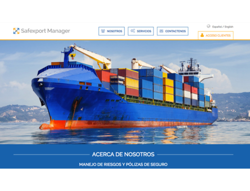 Sitio Web Safexport